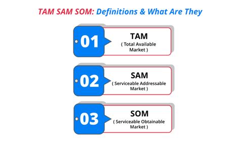 TAM SAM SOM (2024): Meaning and Examples [+ Free .